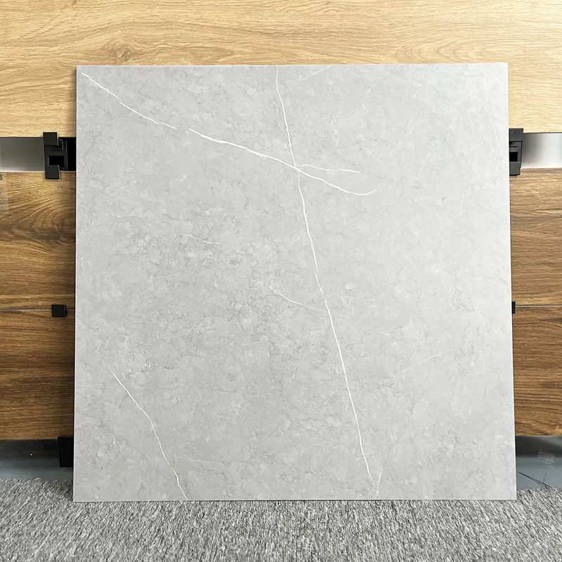 A telha nova da sala de visitas do estilo para o assoalho 60x60, desliza não Matte Porcelain Rustic Floor Tiles