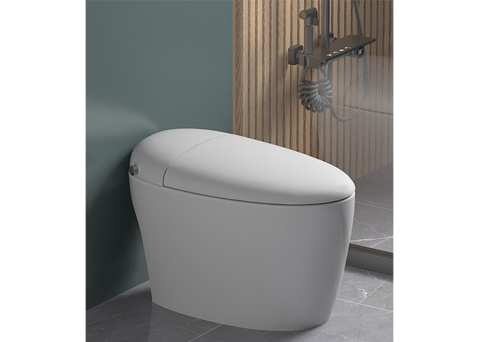 Do bidê nivelado automático elétrico luxuoso do Wc do sensor do banheiro de HOMIXE assoalho cerâmico uma parte