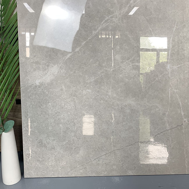 O anti corpo completo sujando lustrou telhas vitrificadas da parede do revestimento da porcelana para a sala de visitas