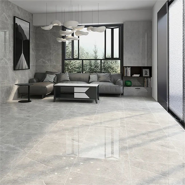 O anti corpo completo sujando lustrou telhas vitrificadas da parede do revestimento da porcelana para a sala de visitas