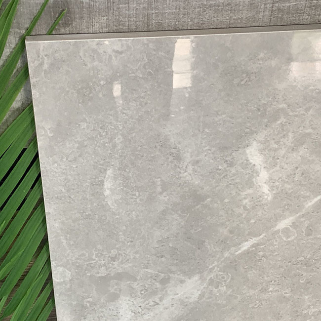 O anti corpo completo sujando lustrou telhas vitrificadas da parede do revestimento da porcelana para a sala de visitas